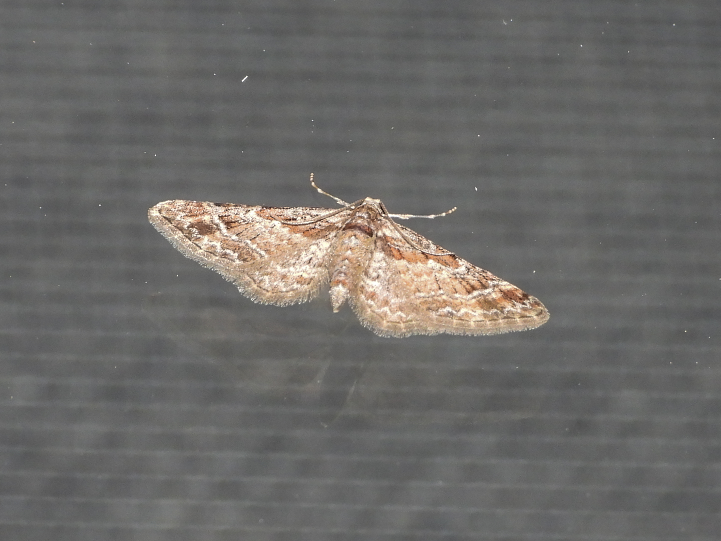 Welke spanner is dit